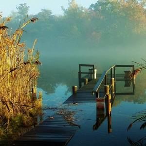 Meet your Posher, Kevin